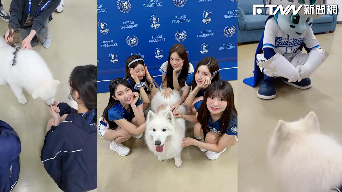 影／富邦啦啦隊後台狂吸「護國神犬」萊芙！　李珠珢興奮餵食、吉祥物阿奇慘遭嫌棄XD