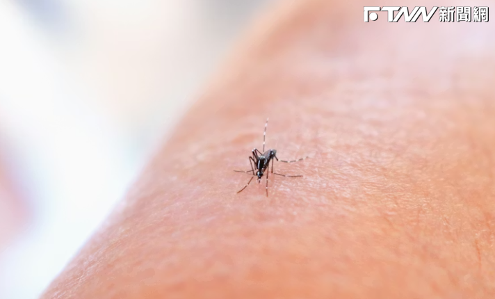 拍蚊子老是落空？他曝一招擊中率大增　釣出醫師揭原理「啟動鎖定技」